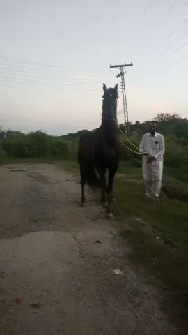 # Mashallah comments Mein bolna love u gya#💕💕💕💝💝💝❣️❣️❣️❣️❣️ 