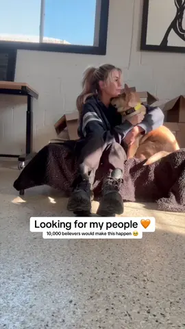 Just looking for a little help to rebuild this dream 🥹  I know if I keep showing up, we will be able to do this 🧡
