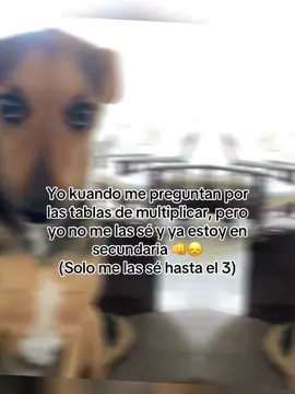 O sea, si me las sé pero no todas 👊😔 tampoco se dividir 😭😭😭 extingan matemáticas  #matemáticas #extinganse #dividir #videos #videoidentificarse #tablasdemultiplicar #nosequeponer #paratiiiiiiiiiiiiiiiiiiiiiiiiiiiiiii #paratiii #crzgf #xbcyza 