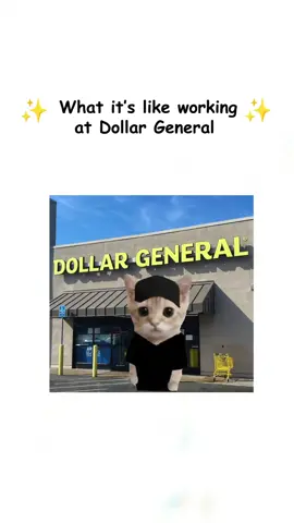 What it’s like working at Dollar General explained by kitty #catanimation #dollargeneral #relatable #explainedbykitty #working 
