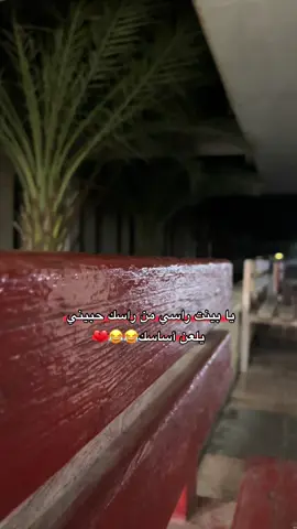 يا بينت راسي من راسك حبيني #يلعن أساسك 😂😂#اريحا_الخليل_بيت_لحم_يافا_حيفا_القدس_عكا 