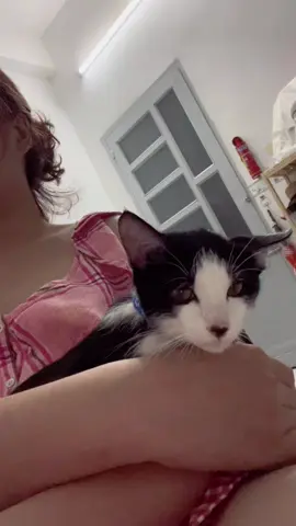 Mồn lèo láo nháo 😌