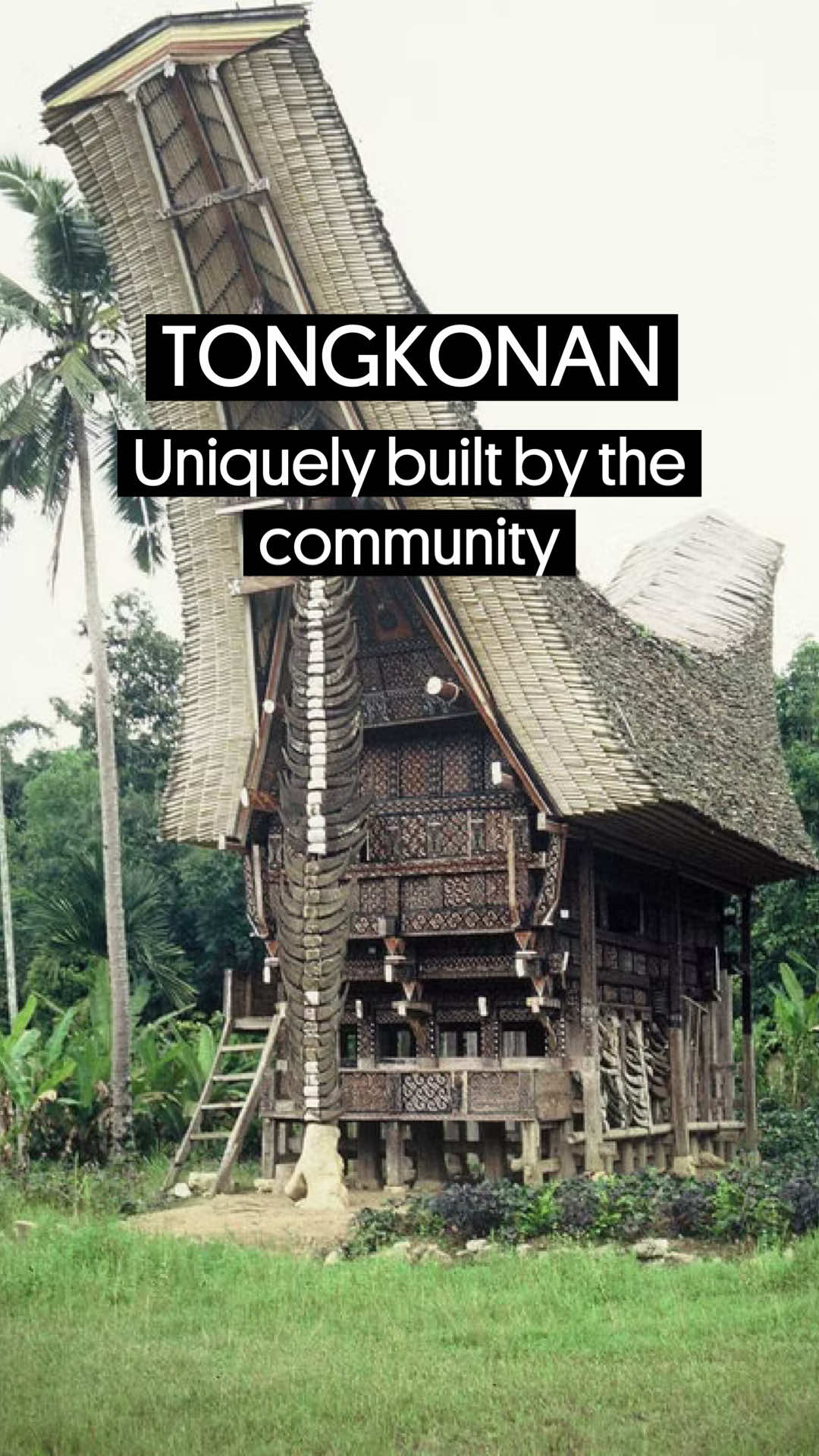 Have you ever seen a building with this type of roof before? #tongkonan #indonesia #VernacularDesign #educationtok #architecturetiktok 