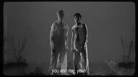 what you and me have been going through, no one will ever know. because it’s you and me, right?  thank u @Lisa Ambjörn for creating young royals and bringing these two together, its crazy  #fyp #edvinryding #omarrudberg #youngroyals #redlight @edvin ryding @OMAR 