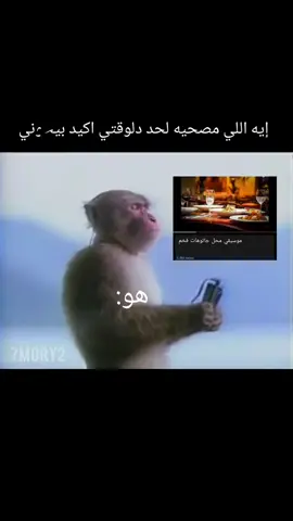 #ميمز #ضحك #موسيقي #viral #explore 