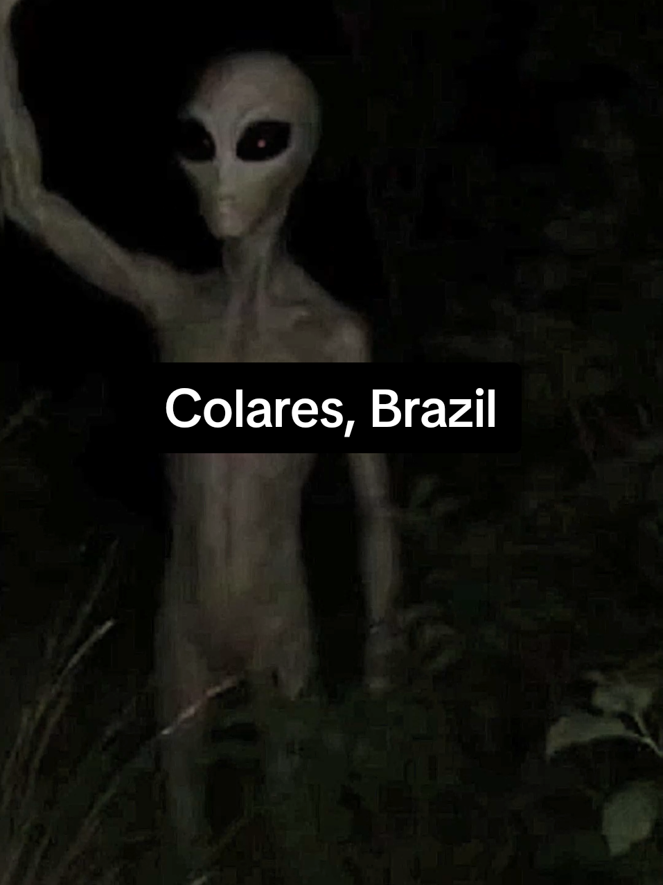 Other video found on fishermen's camera in Colares, Brazil. #ufo #ovni #uap #foundfootage #creatorsearchinsights 