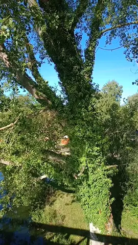 #pourtoi 