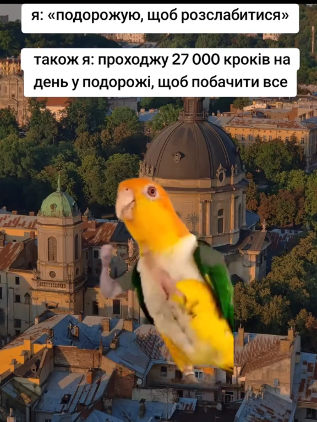 Мої ноги після подорожі заслуговують власну відпустку 😂#українськийтікток  #подорожі #відпустка #treveling #життєво 