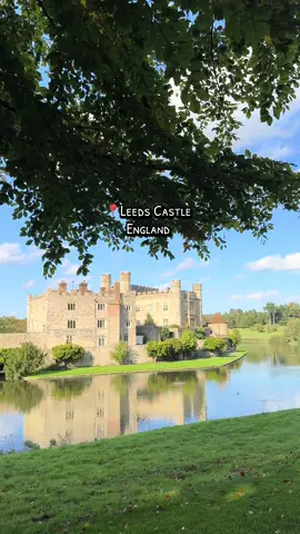 📍Leeds Castle,England  Leeds Castle is a castle in Kent, England, 7 miles southeast of Maidstone. It is built on islands in a lake formed by the River Len to the east of the village of Leeds and is a historic Grade I listed estate.@Leeds Castle  #medievaltiktok #medievalhistory #visitengland #visituk #castles 