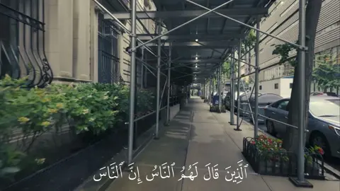 آل عمران - #محمد_ايوب #قرآن_كريم #قرآن #quran_alkarim #quran 