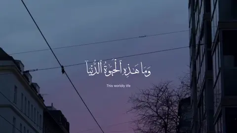 #quran #عبدالرحمن_مسعد 