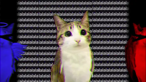 #meowl - GRRLS animation meme - #meow #animation #edit #fyp 