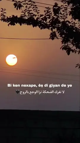#لا تغرك الضحكة  #Tik Tok''👹''⚓👁️القراصنة 👁️⚓''👹''
