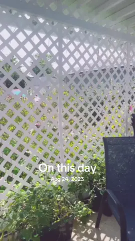#onthisday 