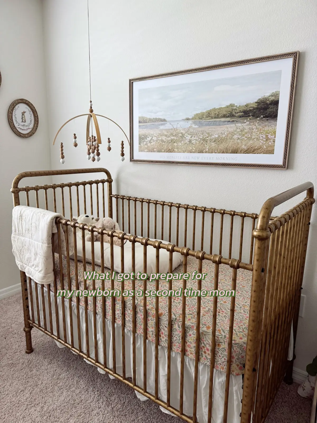 #secondtimemom #newbornhaul #newbornnecessities #babyhaul #babyshowerhaul