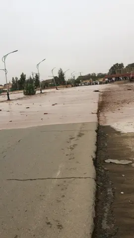 #تمنراست 