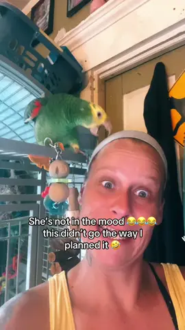 #foryoupage #fyp #amazons #doubleheadedamazonparrot 