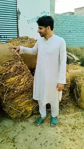#😭😭😭😭💔😭👈 #zamonga #PTI #@°❈  🎀  𝐹𝒶𝓏𝒶  🎀  ❈° @Wahid984328 @PARI KHAN @Alishajan77 @HURAIRA @HaمZa Zaھoor 😎🥰 @Bacha.097 @yasir koko 231 