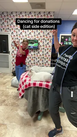 Rare video of us dancing with a cat 🤣  #dancechallenge #justintimberlake #danceforacause #fyp 