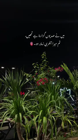 مُختصر یہ کہ تمھارے علاوہ کوئی مُختصرسا بھی نہیں پسند🥹🤌🏻✨#fyp #aestheticvibes #foryoupage❤️❤️ 