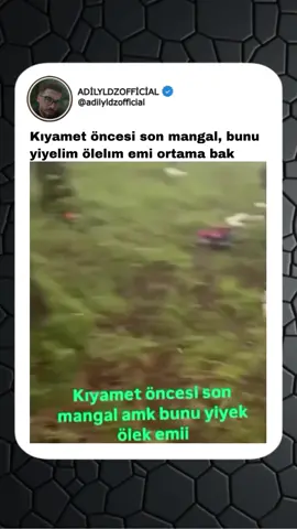 #kesfet #kesfet #kesfet #kesfet #kefetvideolari 
