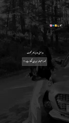 🫠❤️‍🩹#whos_mishi2 
