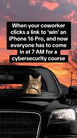 That’s the second time this week, Jen.. 🤦💻😹 #catmemes #facepalm #working #fypシ 
