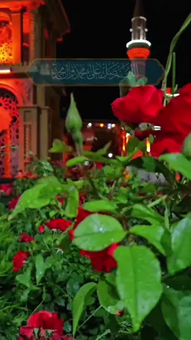 مُناجاةُ المُعتَصِمِينَ أَللَّهُمَّ يا مَلاَذَ اللائِذِينَ، وَيا مَعاذَ الْعآئِذِينَ، وَيا مُنْجِيَ الْهالِكِينَ، وَيا عاصِمَ الْبآئِسِينَ، وَيا راحِمَ الْمَساكِينِ، وَيا مُجِيبَ الْمُضْطَرِّينَ، #fypシ #foryou #fyp #viral 