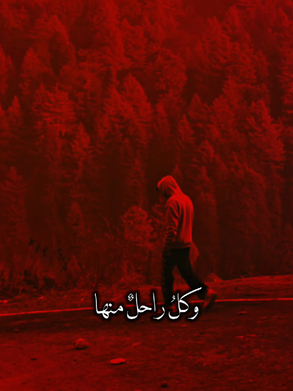 دنيه وأسرت زينب💔...                         #حيدر_الخيكاني  #اهل_البيت_عليهم_سلام 