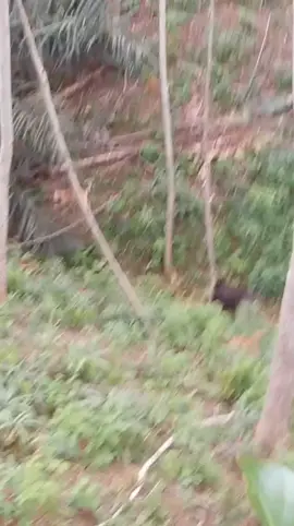 hhhhhuuuuu