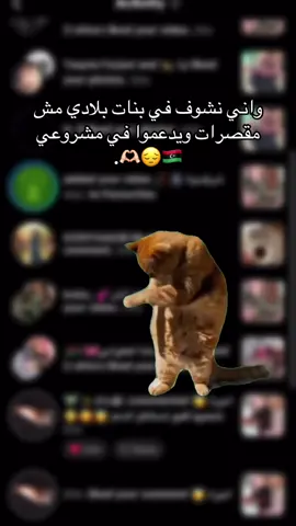 منورات حبيباتي مزال الانستا والفيس مرقدات 💞🥹🩷🫶🏻#MemeCut #MemeCut #Meme #foryoupage #MemeCut 