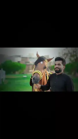 #الطائي🐎#مؤسسة_حمودي_الطائي#الافظل_دائما🔥#الشعب_الصيني_ماله_حل😂😂 #تصميم_فيديوهات🎶🎤🎬 