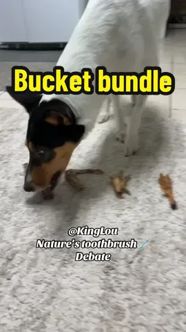 @King Lou has the best single ingredient natures toothbrush for your pet!   They are made in the USA in human grade facilities in small batches!   They are the #1#1d#dogtreateller on #t#tiktoknd have all 5 ⭐️ reviews!   Please check them out and see what they say for yourself.    ✨You can purchase a bag, a box or a bucket of any of these, but when you buy them in bulk, there is a great savings 💰  There is always free shipping from King Lou and check out the discount and flash sale going on now ‼️🥳🐶 