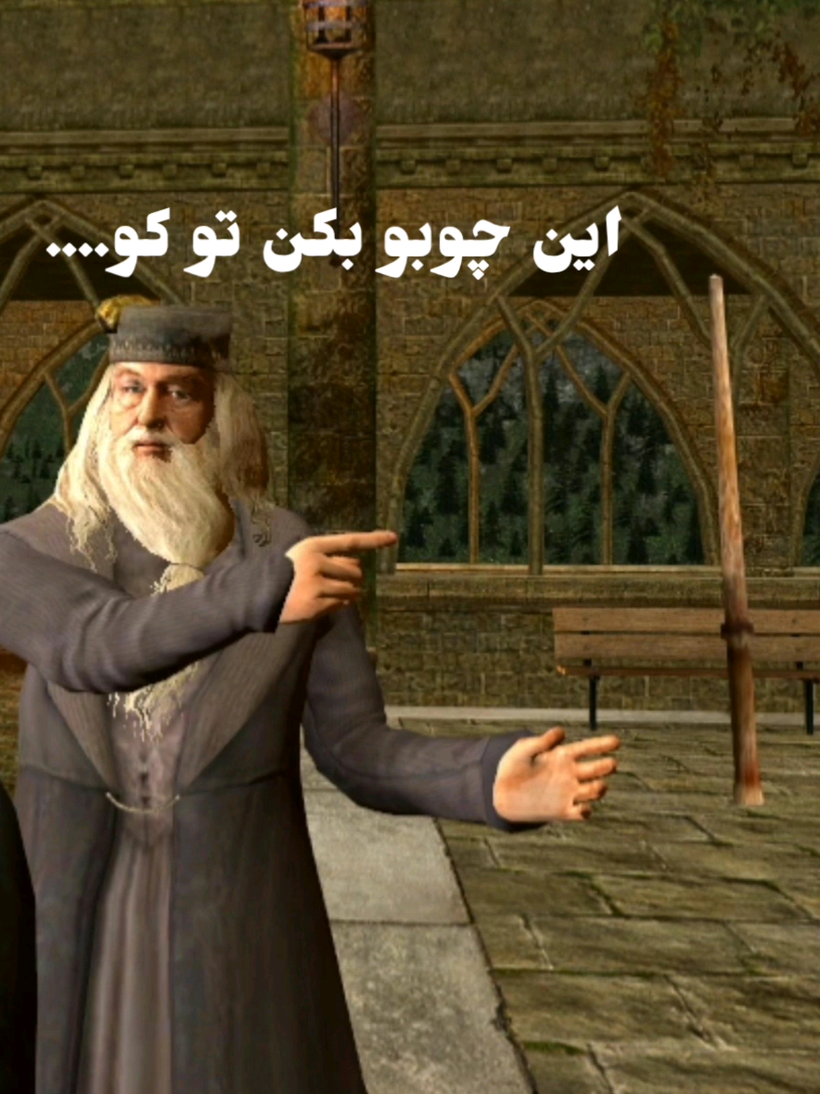 خلاصه هری پاتر  تو ۱۵ ثانیه #هری_پاتر  #harrypotter 