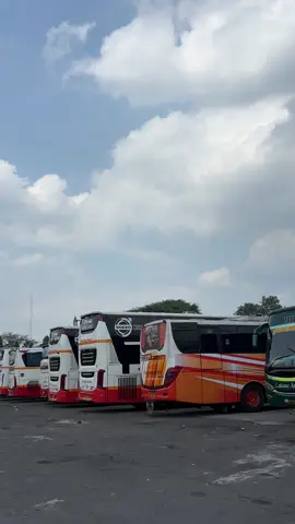 Malang kota apel ❌ Malang kota volvo ✅ #malang24jam #busmania 