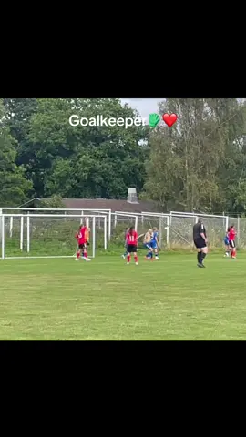 Dreaming that someday i Will play on a stadium with thousands of people watching🧤❤️ #dream #keeper #hfk #dream #prokeeper 