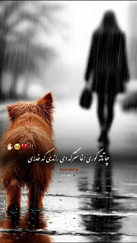 #CapCut Hu sir 🤚❤️ #تمپلیت_جدید  چې تاته ګورې هغه سترکې 💔🤭#تمپلیت_جدید #رپ_پشتو  رپ_فارسی اهنګ_پشتو اهنک_افغانی اهنک_ایران_غمگین_غاشقان creatorsearchinsights #oo__3salar_afg 