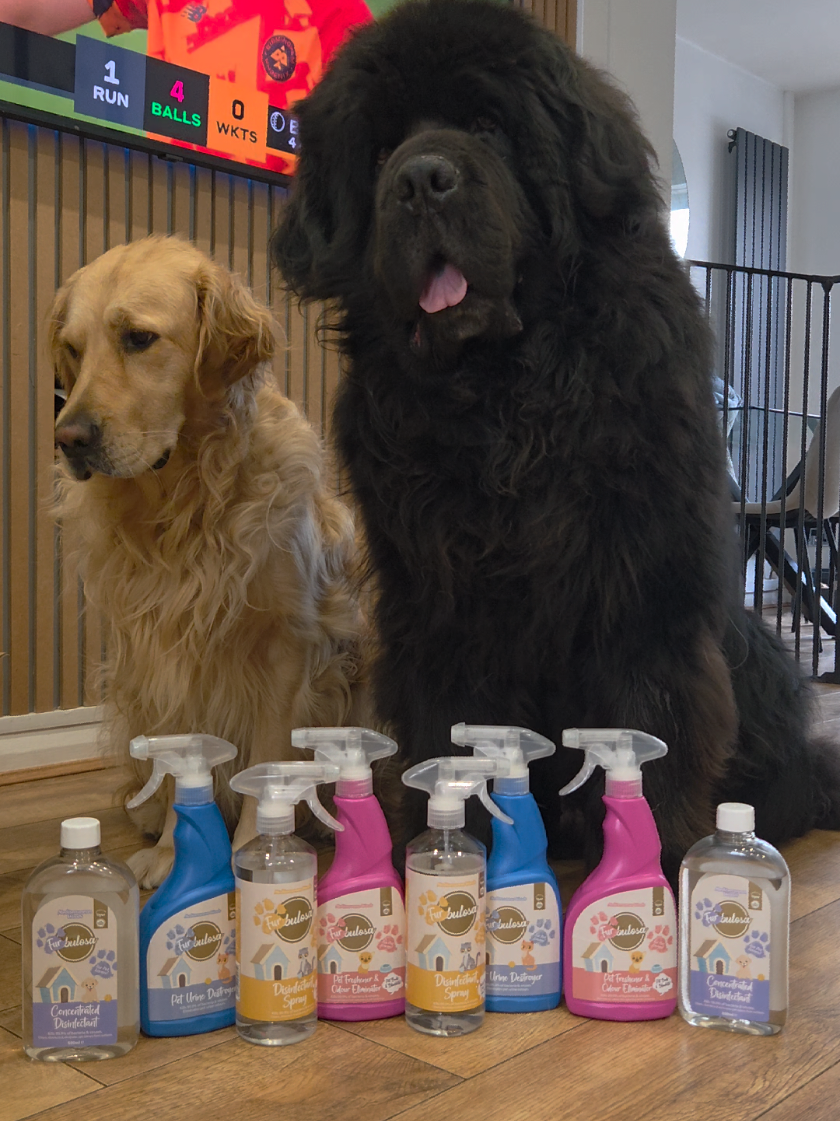 💪🌻 only £10 for all this ... absolute BARGAIN. Furbulosa 🐶🐱 pet safe products  #cleaning #CleanTok #cleaninghacks #fabulosa #pets @My Fabulosa 