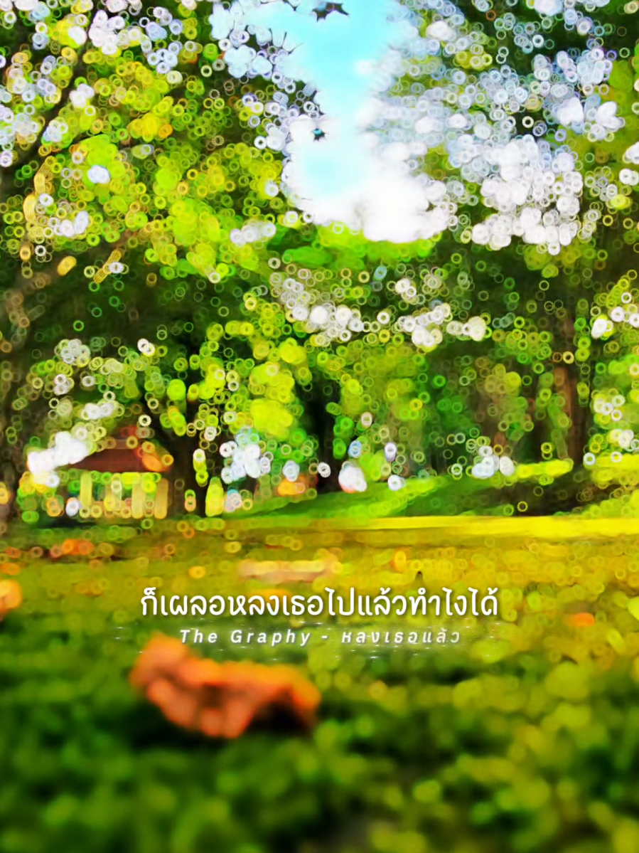 ก็เผลอหลงเธอไปแล้วทำไงได้ ก็ใจมันคิดถึงแต่เธอร่ำไป #CapCut #สตอรี่ความรู้สึก #เธรด #คิดถึง #หลงเธอแล้ว 😊🌙💞