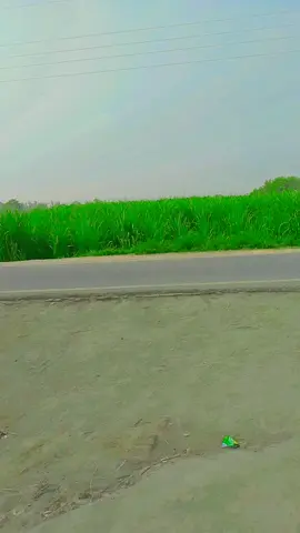 #،🤩😘🥰🤗♥️ #😜🤪😋 #😀😃😆 #video 