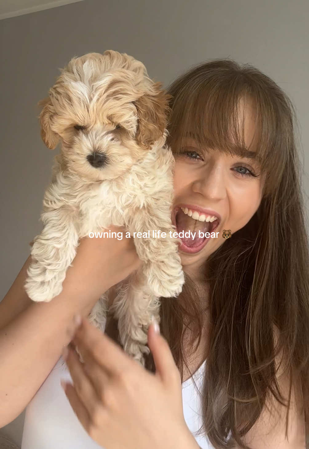love being a maltipoo mum 🐻 #maltipoo #maltipoopuppy #maltipoolife #puppytok #fyp 