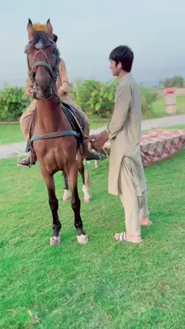 @GoldenBoy666 @Neza Bazi Pakistan @Shahsawar-E-Pakistan @Allkabeer Awan Club 