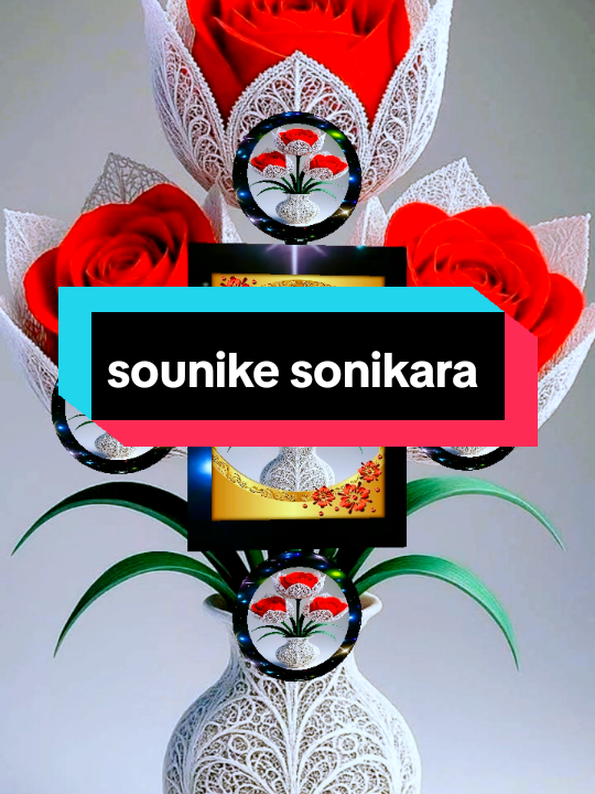 @Hawa Niakate #sonikara #sonike #fouryou #fyp #videoviral @Muslim🧕♥️ @Niakate 