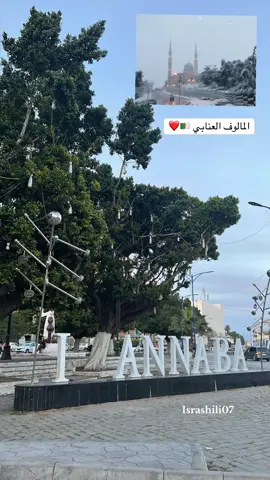 Malouf annaba nacer berrahayel ❤️ #fouryoupage #viraltiktok #عنابة_جوهرة_الشرق #الشعب_الصيني_ماله_حل😂😂 #explore 