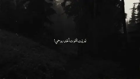 يَريَت المَوت أخَد روحي! #قصائد_حسينيه #باسم_الكربلائي #أجر #liker #اللهم_صل_على_محمد_وال_محمد 