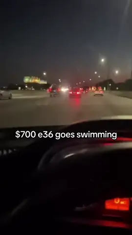 Nate skii a swimmer frl 