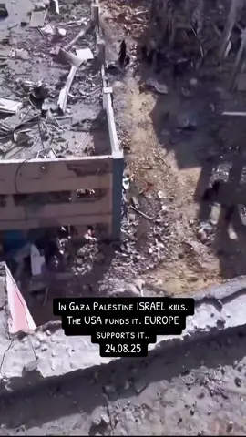 The scale of destruction in Gaza Palestine. #foryoupage #foryou #fypppppppppppppp #fyp #foru 