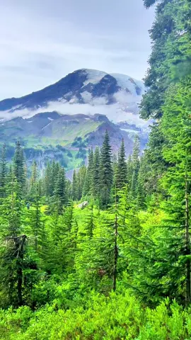 I got married by Mt. Rainier 🫶🏻 #mountains #traveltiktok #pnw 