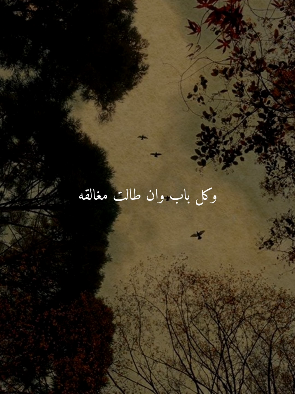 وكل باب وان طالت مغالقه..🤎 #اللهم_امين #ادعيه #ادعية_اسلامية_تريح_القلب #ادعيه_تريح_القلب #اكسبلور 