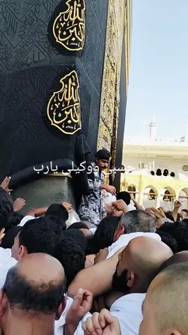 #لااله_الا_انت_سبحانك_اني_كنت_من_ظالمين 
